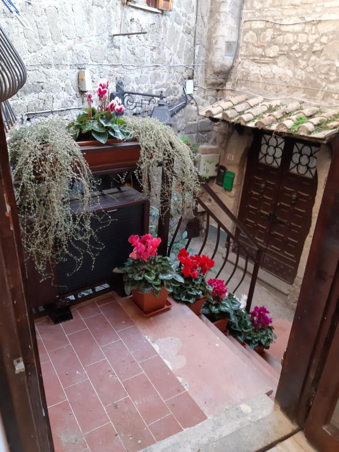 Villa Gusto E Benessere Sweet Home E Ristorante 萨克奥法诺 外观 照片